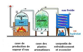 huile essentielle fabrication schéma